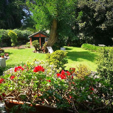 Jardines De Hortensia - Vacation Home Tenerife Сан-Кристобаль-де-Ла-Лагуна Экстерьер фото