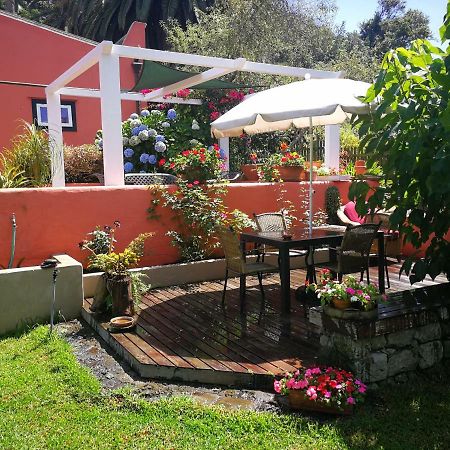 Jardines De Hortensia - Vacation Home Tenerife Сан-Кристобаль-де-Ла-Лагуна Экстерьер фото