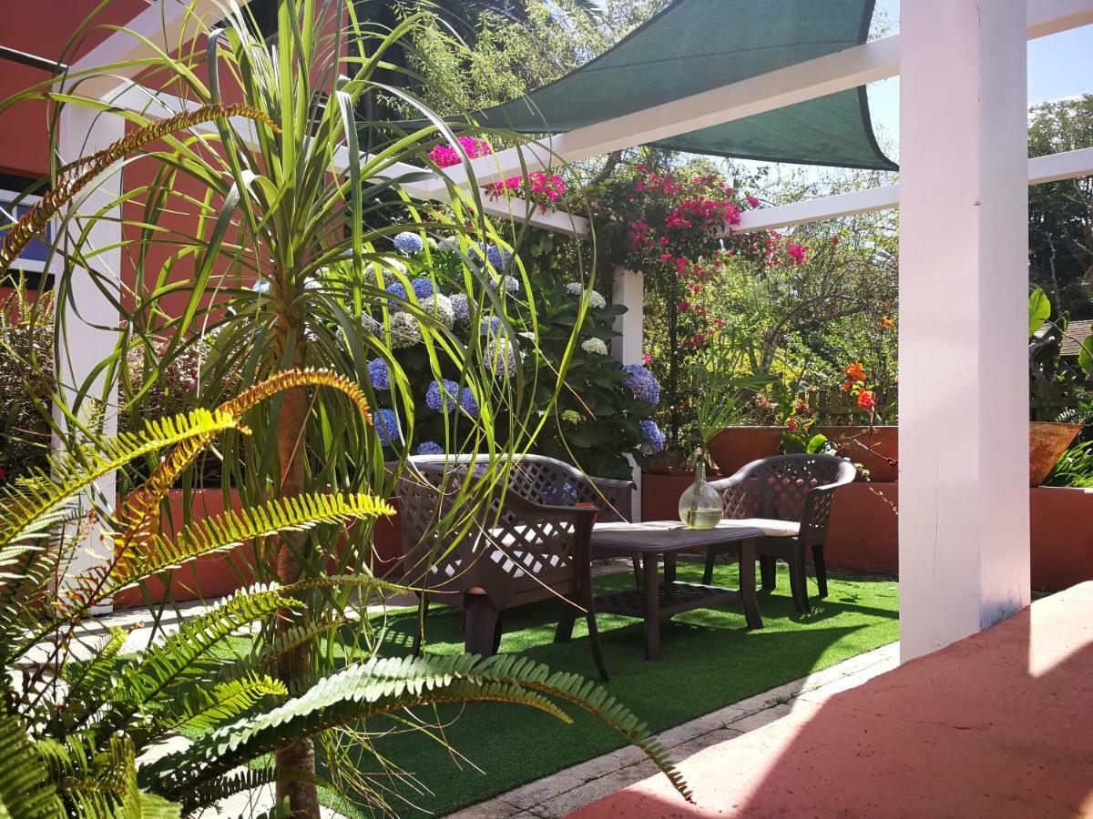 Jardines De Hortensia - Vacation Home Tenerife Сан-Кристобаль-де-Ла-Лагуна Экстерьер фото