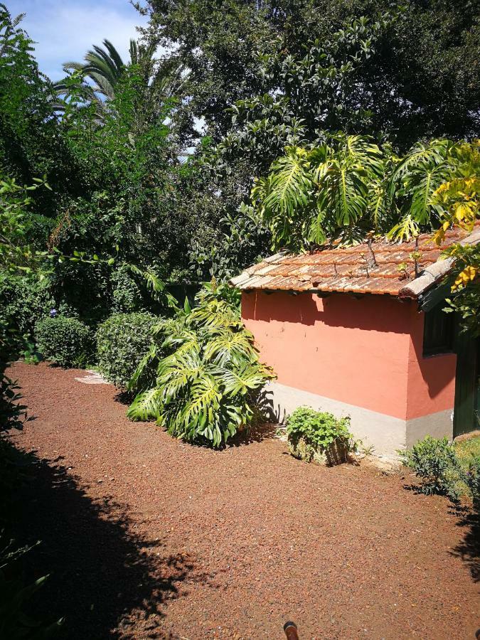 Jardines De Hortensia - Vacation Home Tenerife Сан-Кристобаль-де-Ла-Лагуна Экстерьер фото