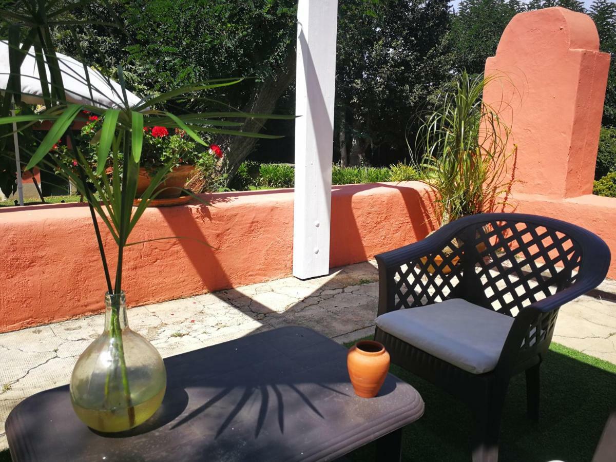 Jardines De Hortensia - Vacation Home Tenerife Сан-Кристобаль-де-Ла-Лагуна Экстерьер фото