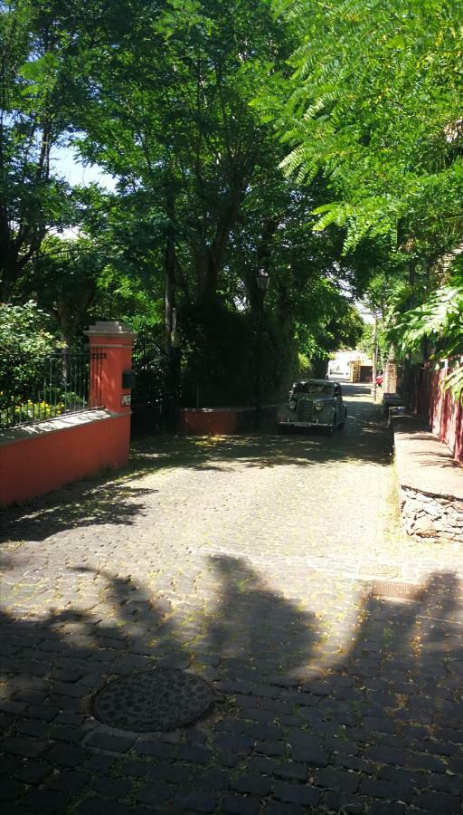 Jardines De Hortensia - Vacation Home Tenerife Сан-Кристобаль-де-Ла-Лагуна Экстерьер фото