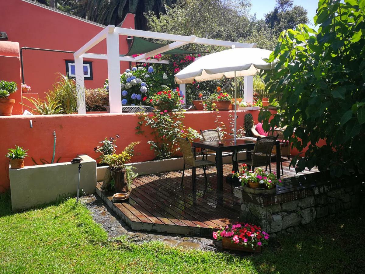 Jardines De Hortensia - Vacation Home Tenerife Сан-Кристобаль-де-Ла-Лагуна Экстерьер фото